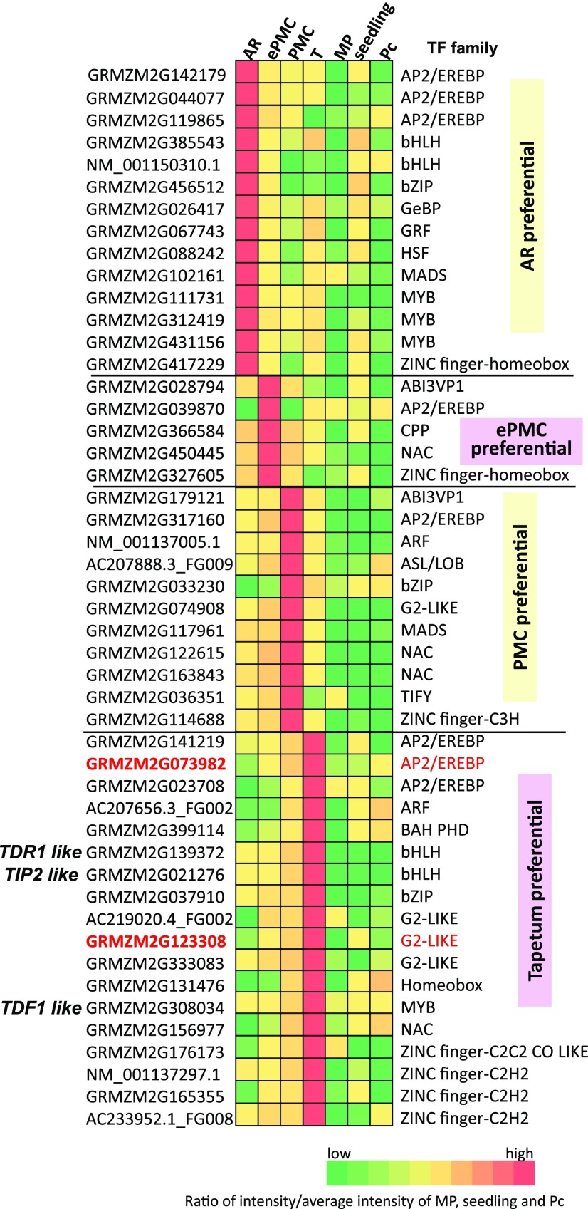 Figure 6.