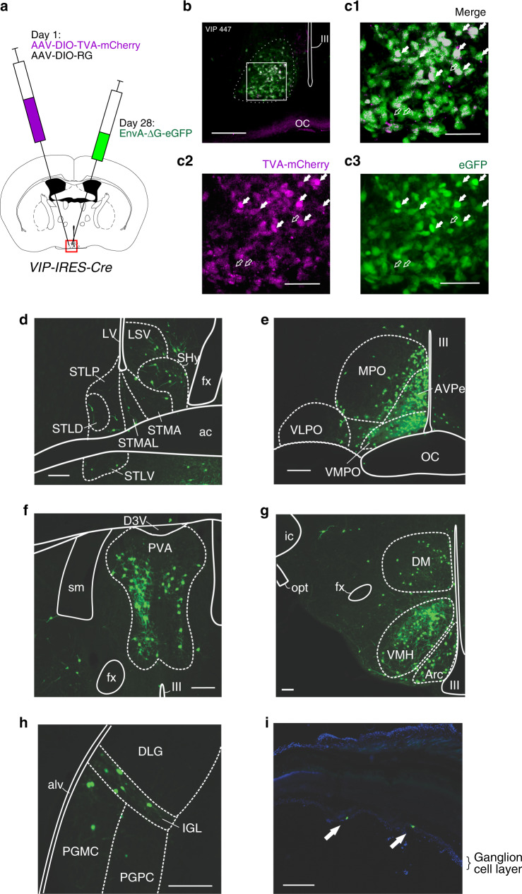 Fig. 9