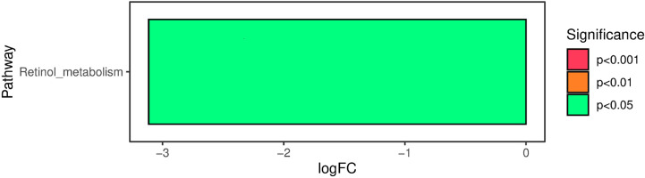 Figure 5