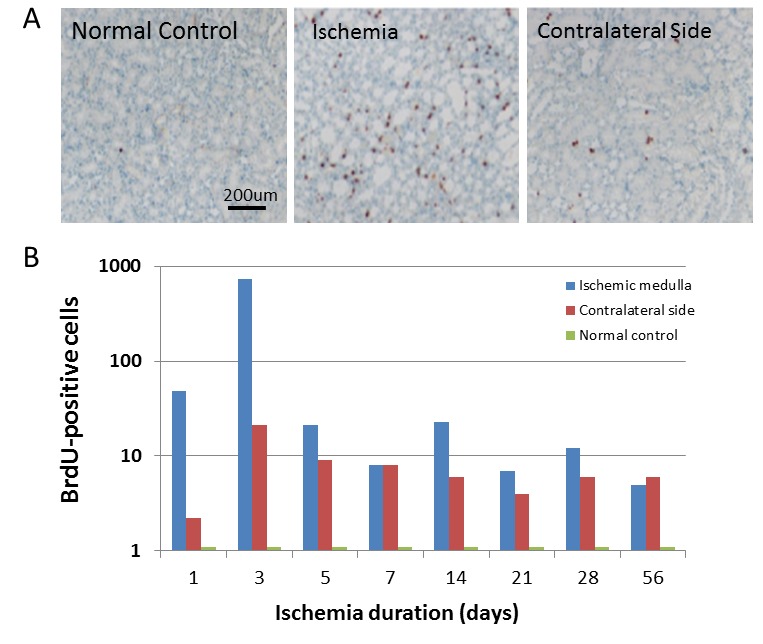 Figure 2 :