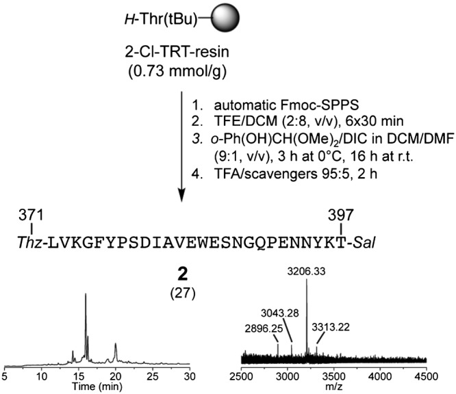 Scheme 4
