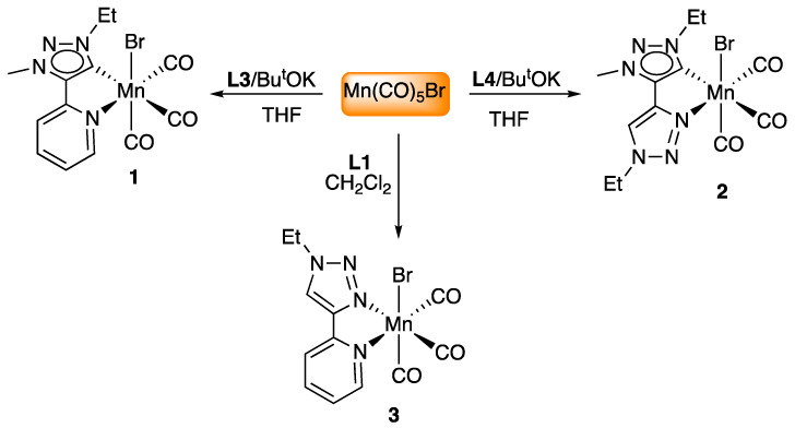 Scheme 3