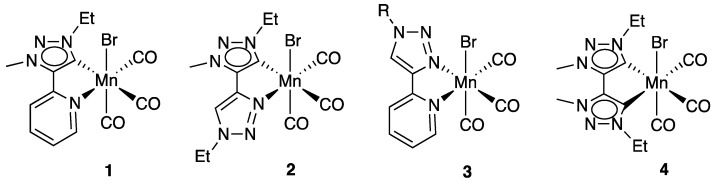 Scheme 4