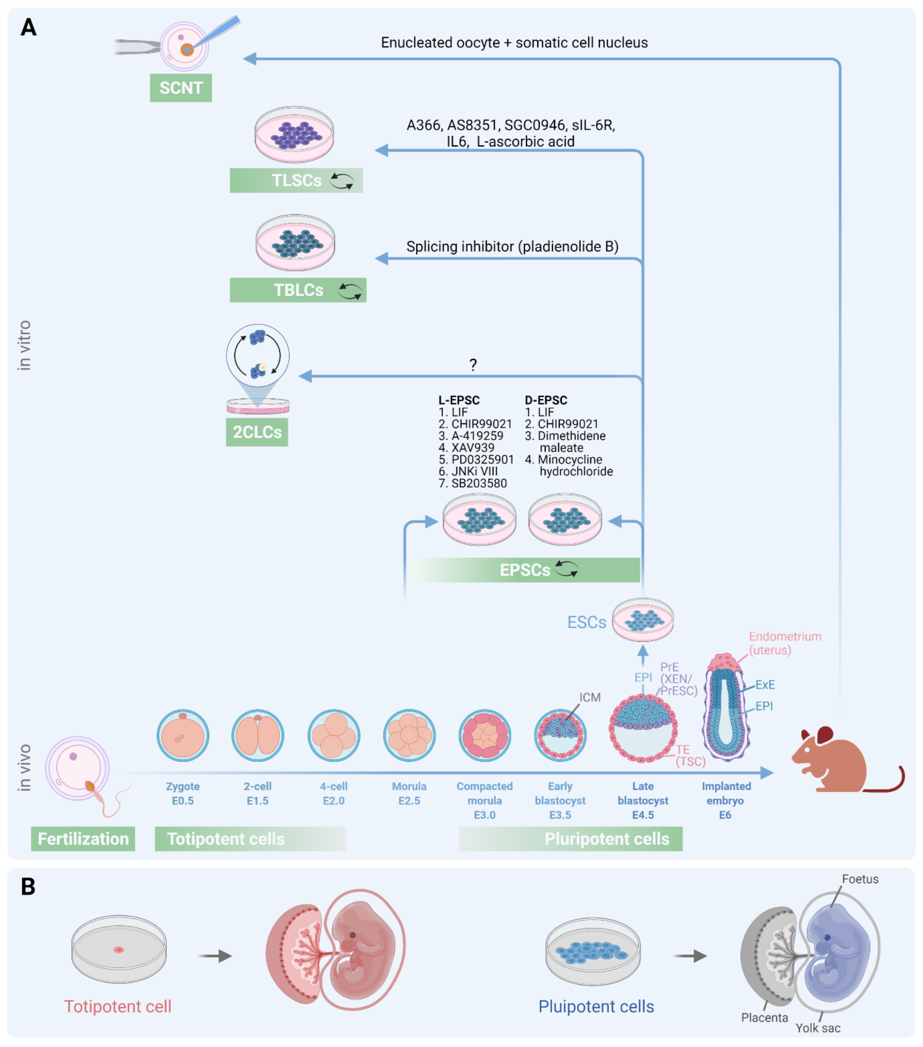 Figure 1: