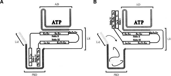 Figure 5.