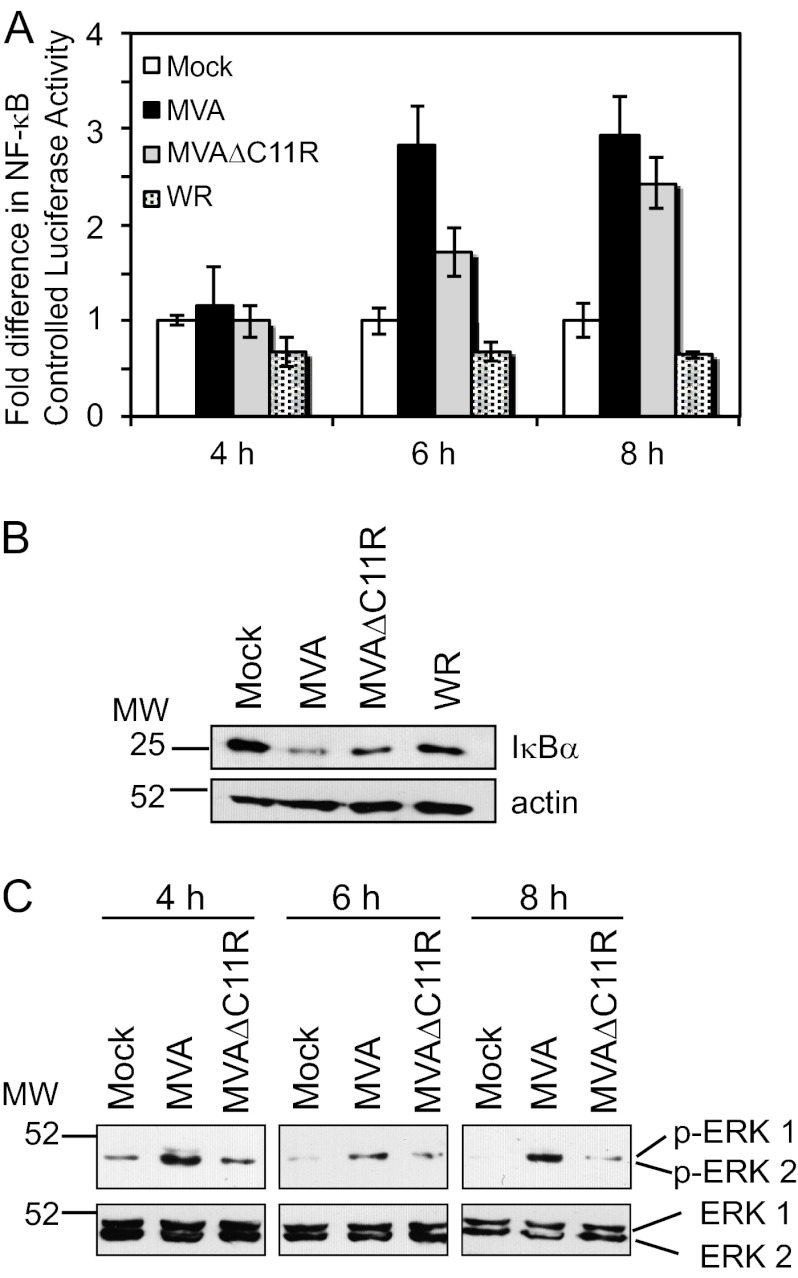 Fig 8