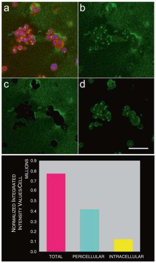 Fig. 4