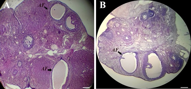 Fig.3