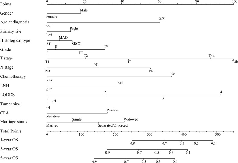 Fig. 3