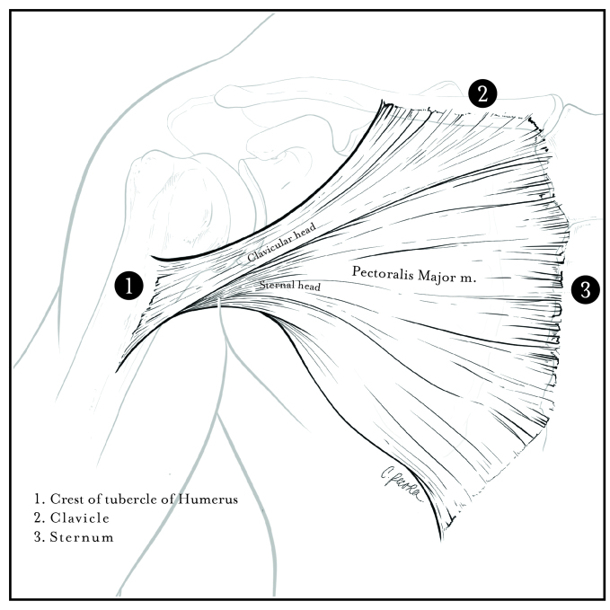 Fig 1.