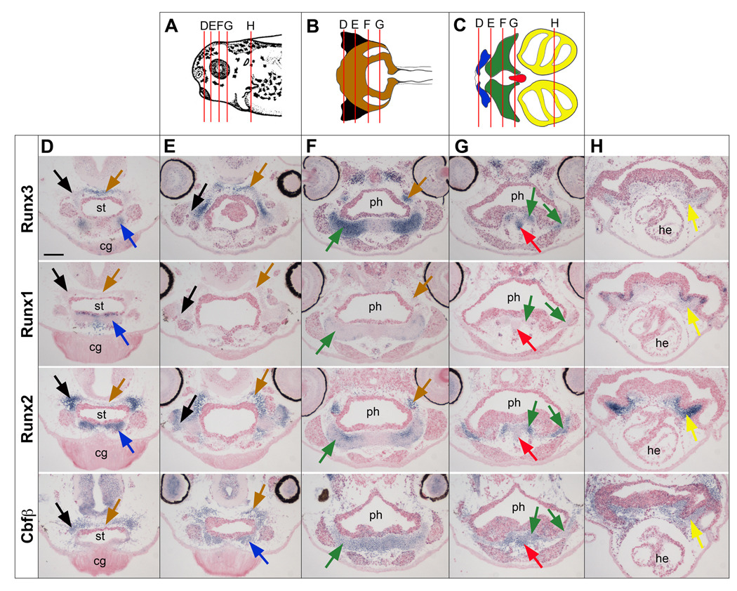 Figure 6