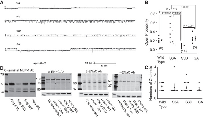 Fig. 3.