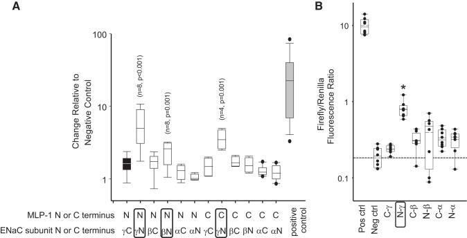 Fig. 8.