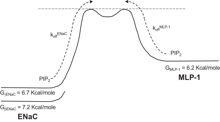 Fig. 11.