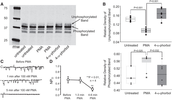 Fig. 10.