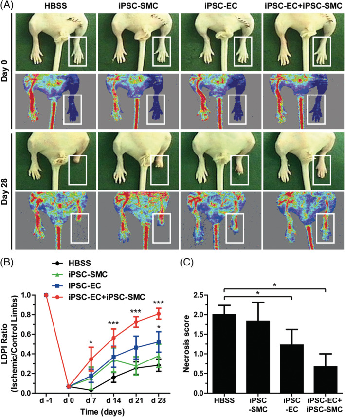 FIGURE 3