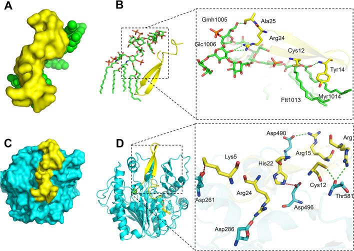 Fig. 6