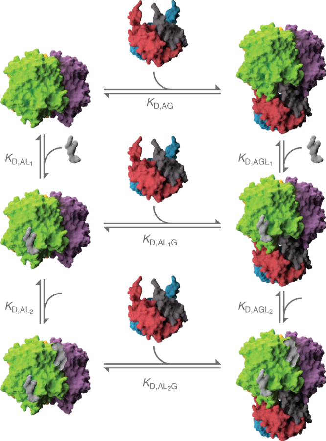 Fig. 3