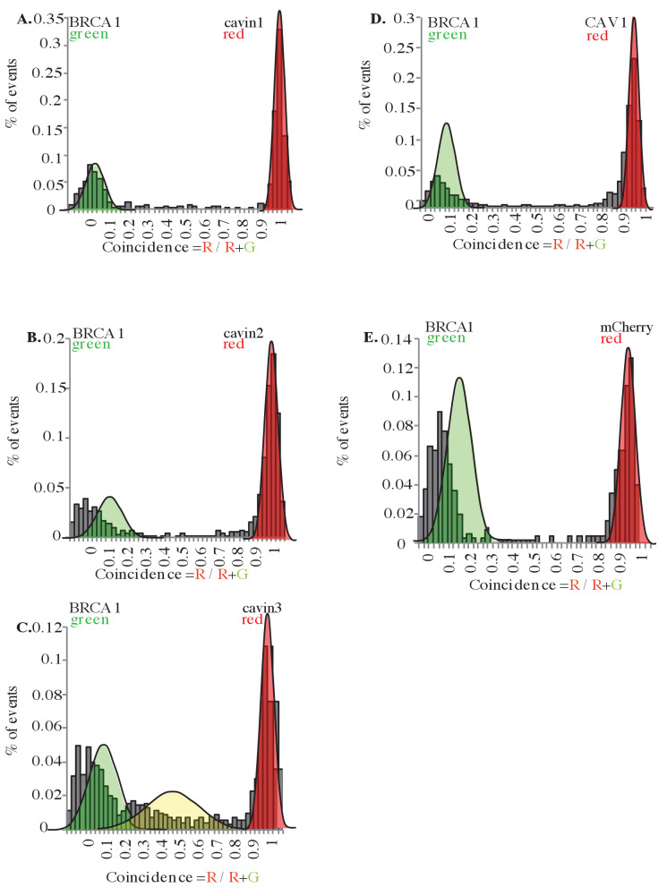 Figure 2—figure supplement 1.