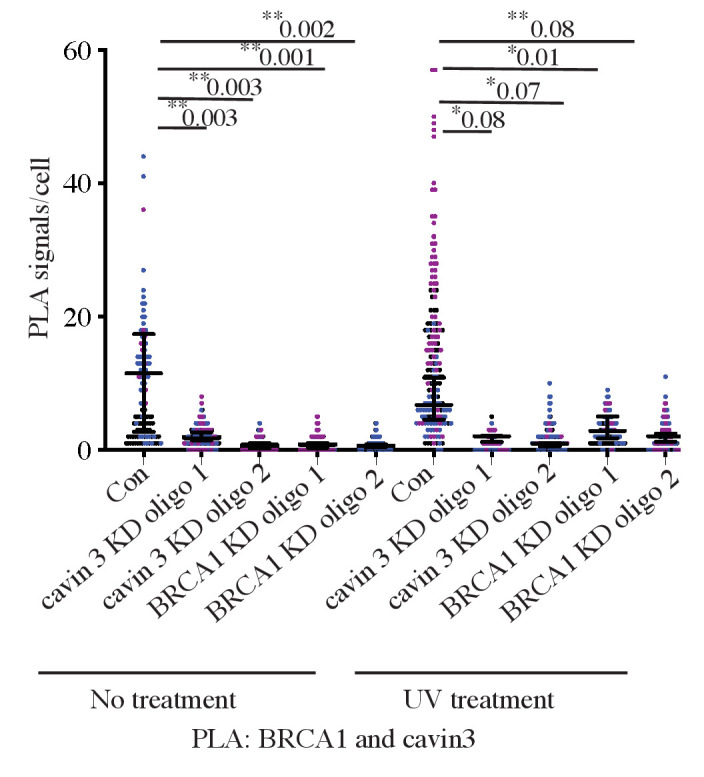 Figure 6—figure supplement 2.