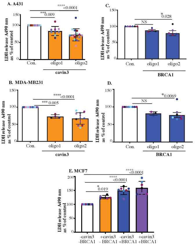 Figure 7—figure supplement 1.