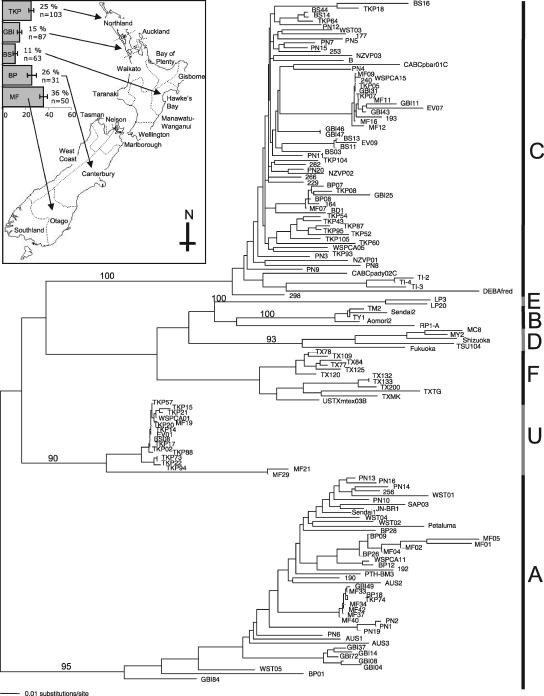 FIG. 1.