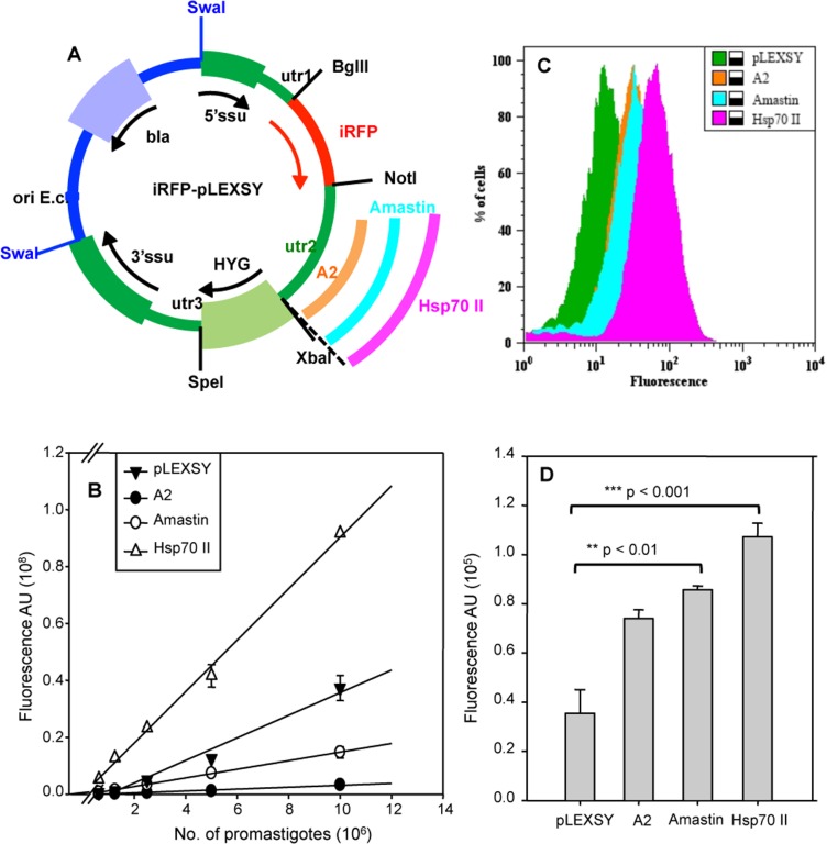 Fig 2