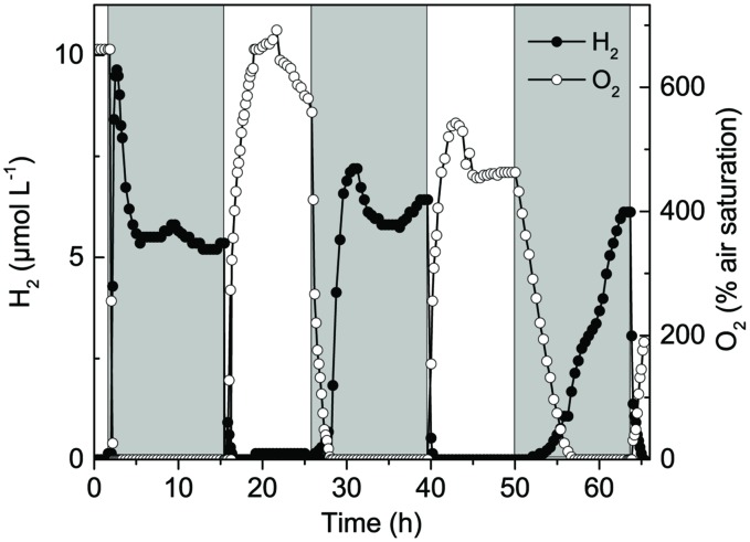 FIGURE 3