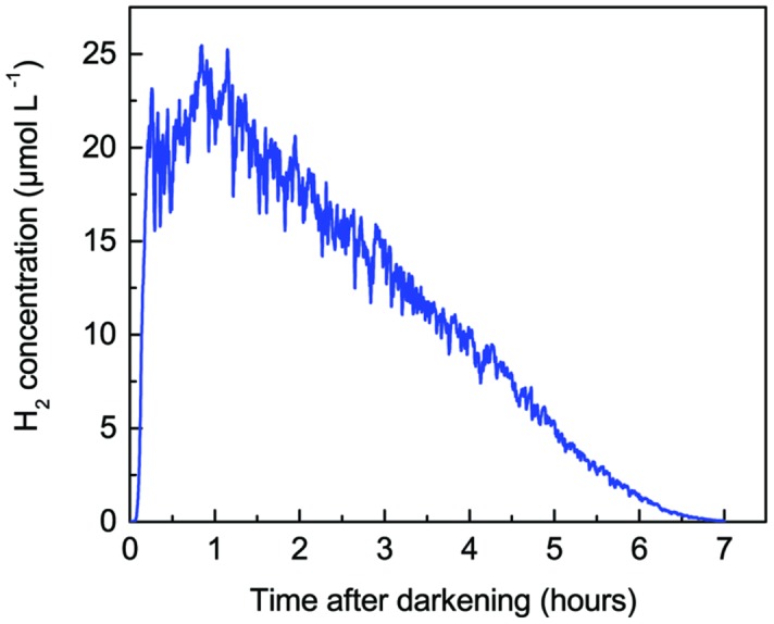 FIGURE 6