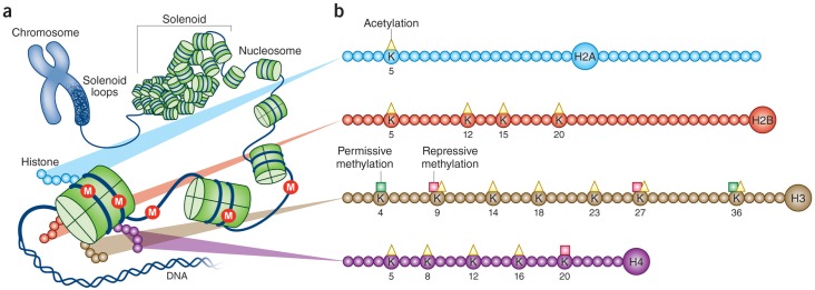 Fig 1