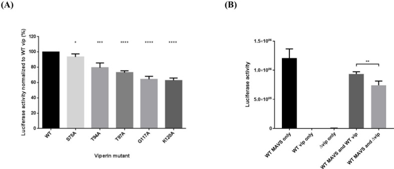 Fig 7