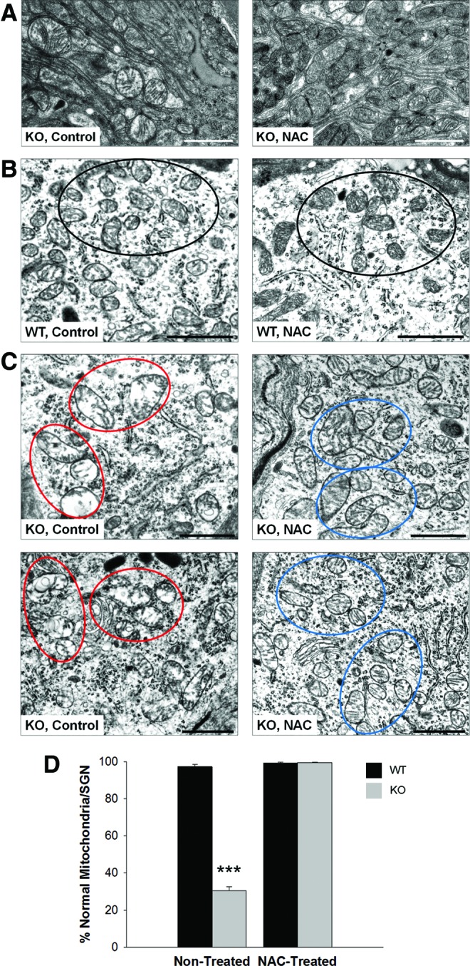 FIG. 8.