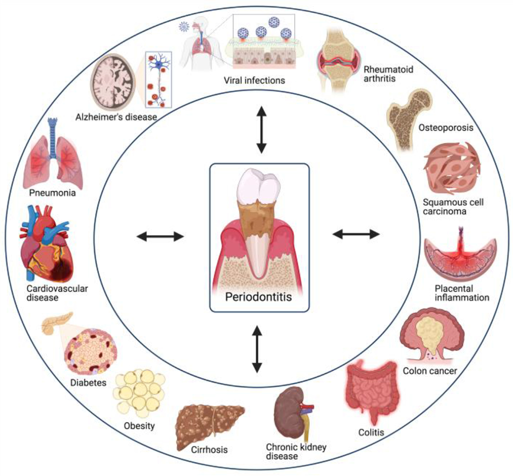 Figure 1: