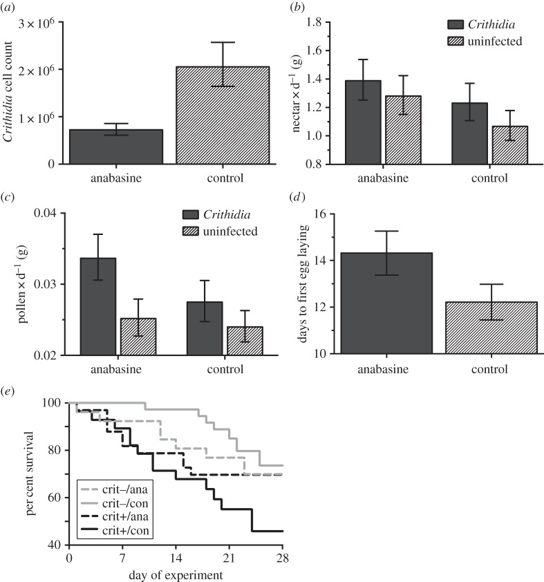 Figure 2.