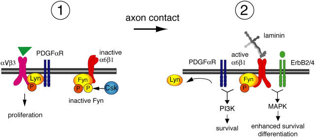 Figure 9.