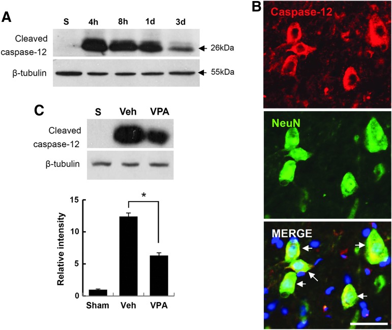 FIG. 7.