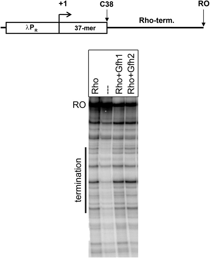 Fig. S8.