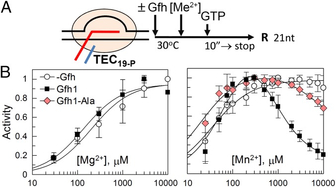 Fig. 4.