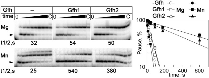 Fig. 3.