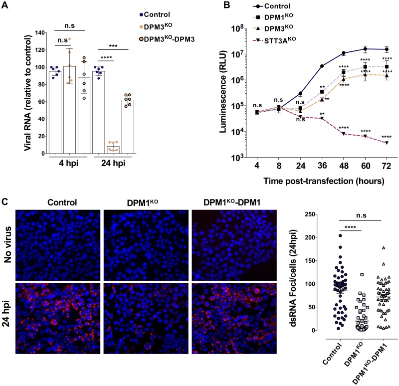 FIG 6