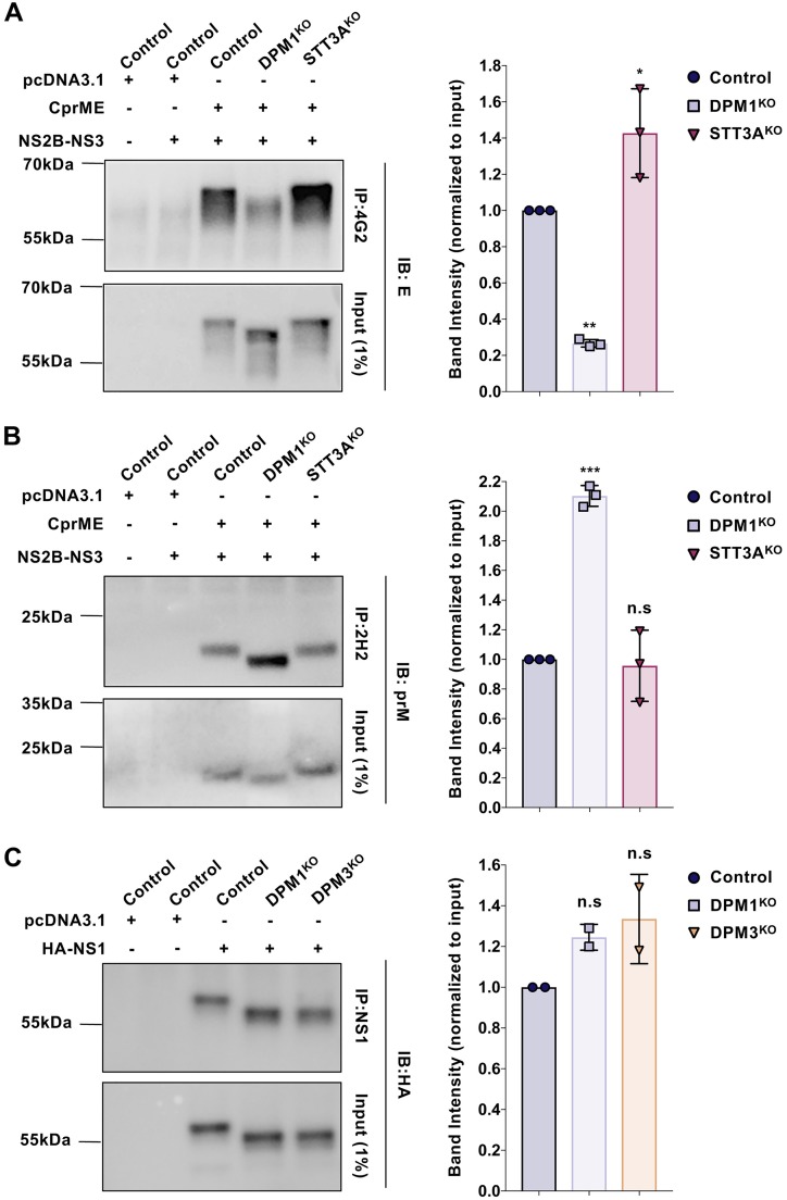 FIG 8