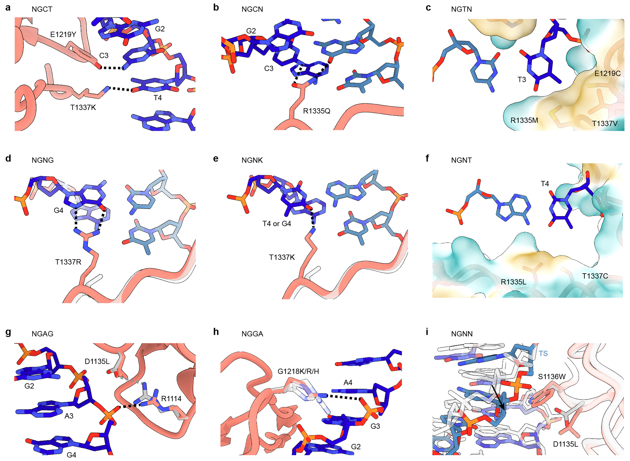 Extended Data Fig. 5 |