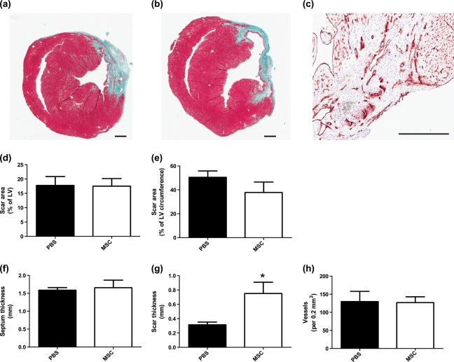 Figure 4: