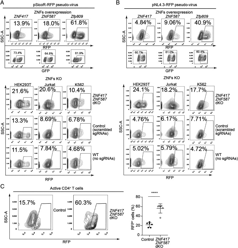 Fig. 6.