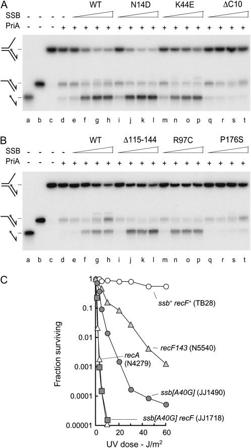 Figure 7.—