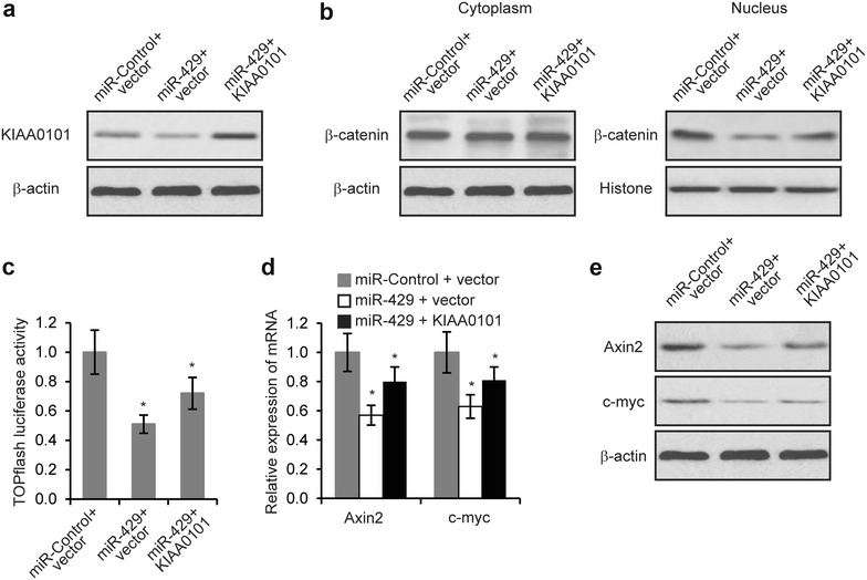 Fig. 6