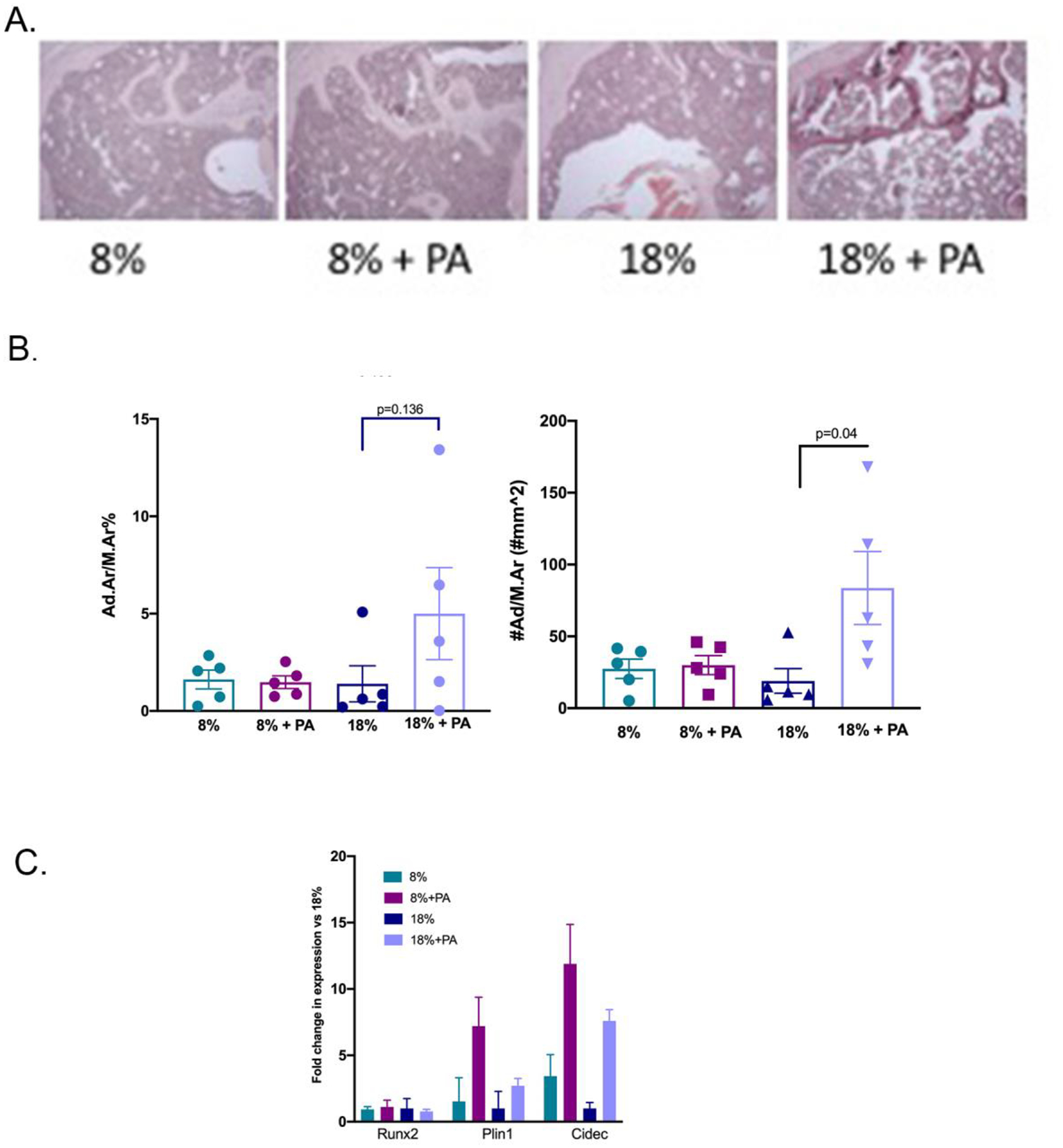 Figure 4: