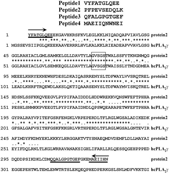 Figure 3.