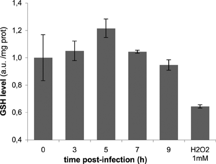 FIG. 2.