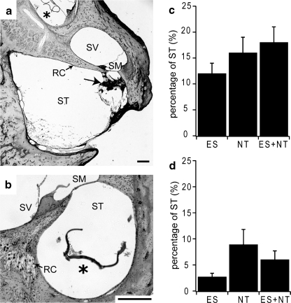 Fig. 9